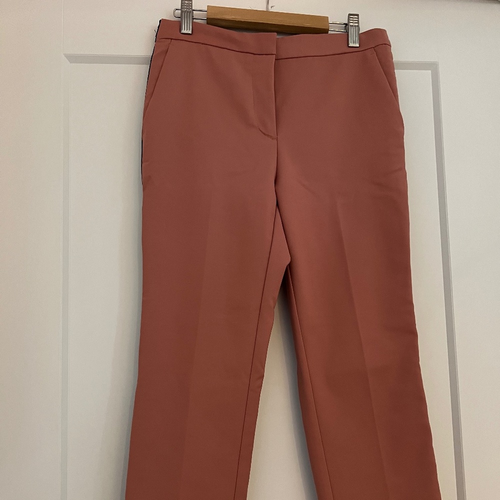 Zara pink pants